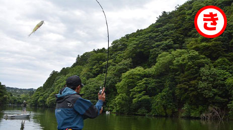 いまさら聞けない釣り用語 え 釣りあそびジャーナル