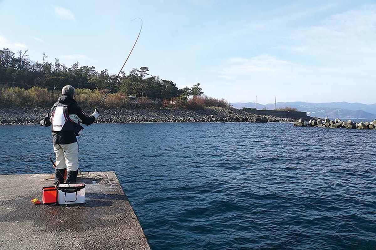 いまさら聞けない釣り用語「た」 | 釣りあそびジャーナル