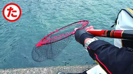 バックラッシュ の仕組みと回避方法 釣りあそびジャーナル