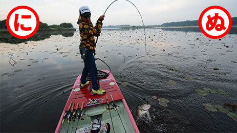 3種類ある釣り糸の素材 使い分けは 釣りあそびジャーナル