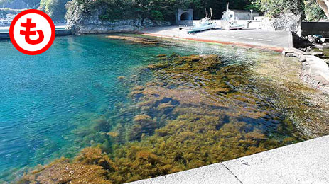 バックラッシュ の仕組みと回避方法 釣りあそびジャーナル