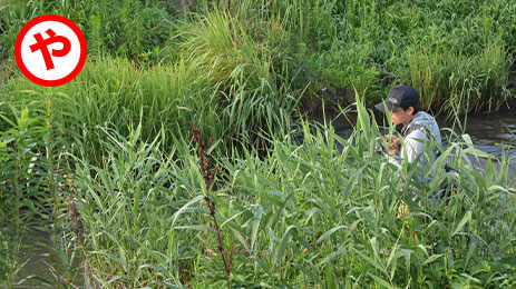 バックラッシュ の仕組みと回避方法 釣りあそびジャーナル