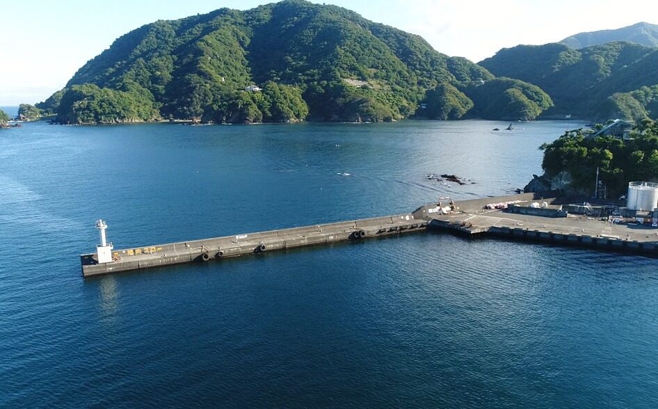 田子漁港 白灯台堤防（田子東堤防）