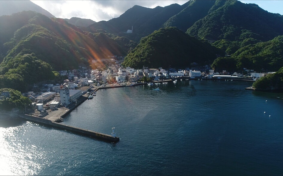 海釣りGO!!田子漁港