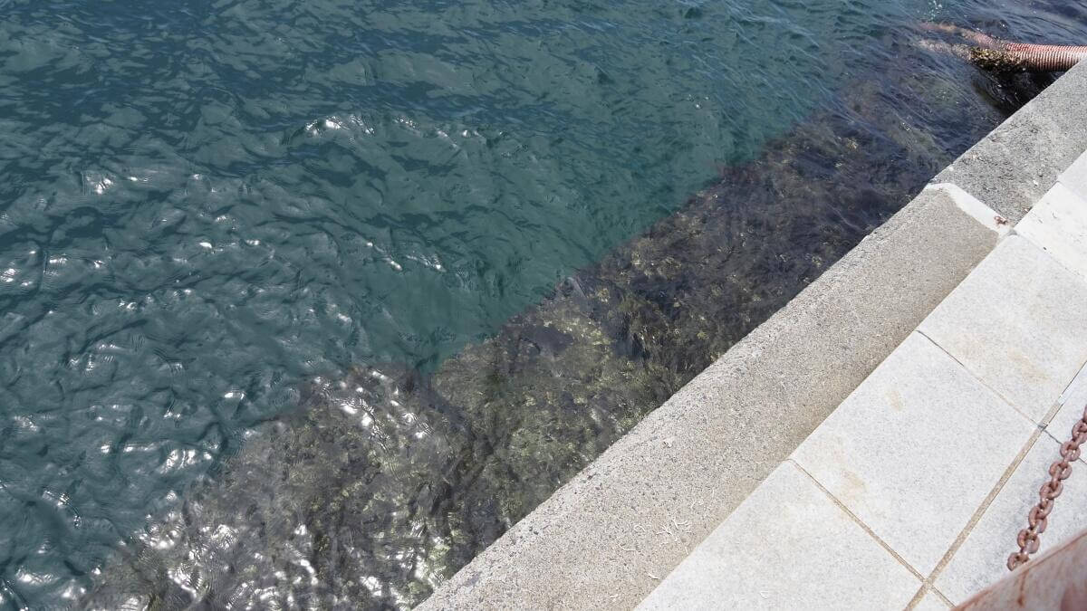 小名浜港2号ふ頭の岸壁足元に見える沈み石